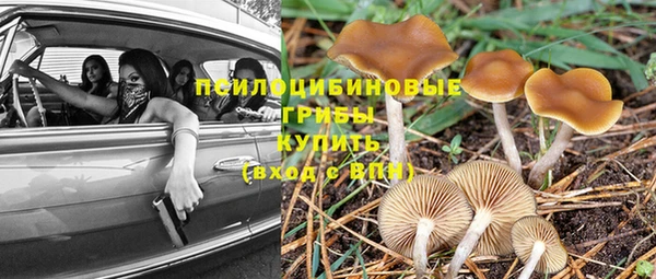 прущие крисы Володарск