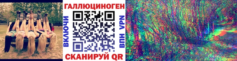 Псилоцибиновые грибы Psilocybine cubensis  Щёлково 